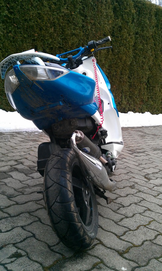 So er darf auch mal wieder raus ;D