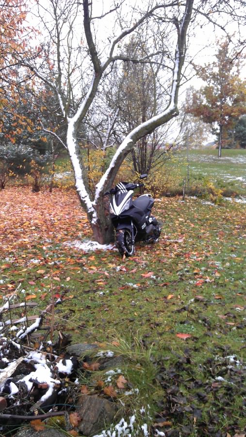 bye bye Jetty ;( Der Winter ist da :(