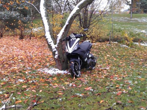 bye bye Jetty ;( Der Winter ist da :(