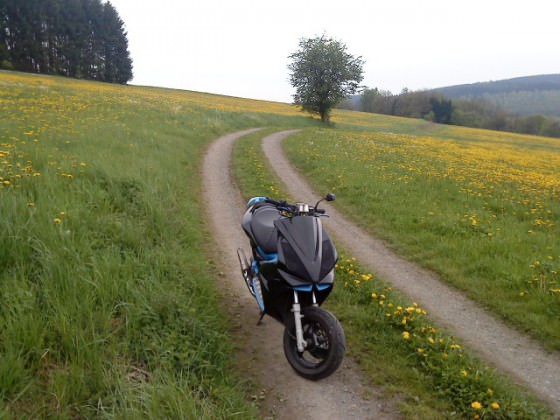 joar mal ein bisschen frische luft schnuppern XD
