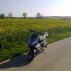 Geiles Wetter und bisschen heizen gewesen