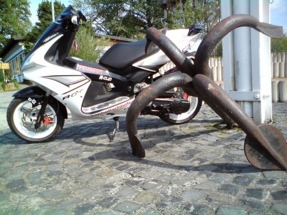 Der Scooter