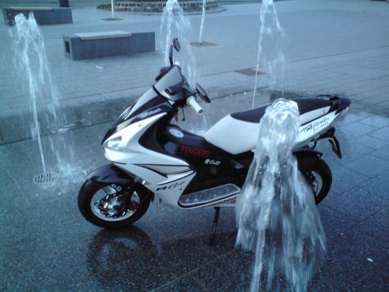 Der Scooter