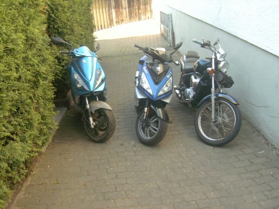 meine Scoots