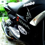 Zu Ehren von Ayrton Senna! † 1. Mai 1994