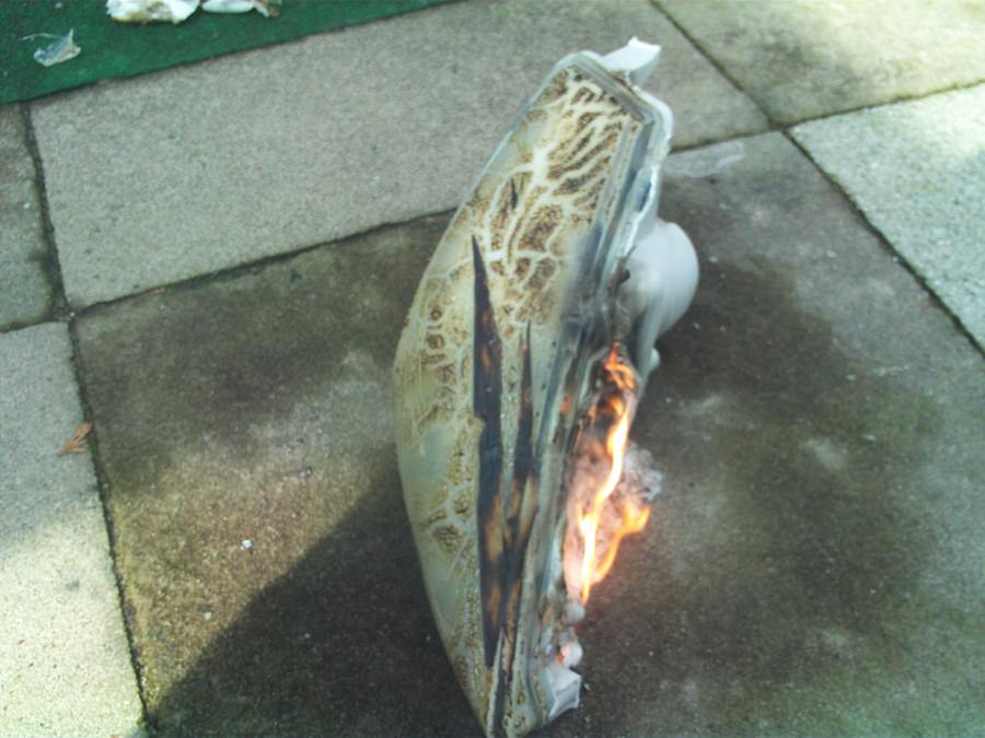 MEine birne ist durchgebrannt WÖRTLICh