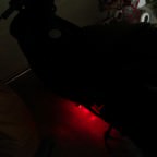 IMAG0753