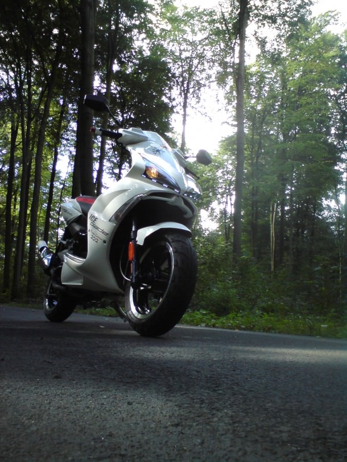Der Scooter im Wald