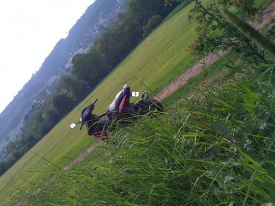 Behind the Gras ;D ;D