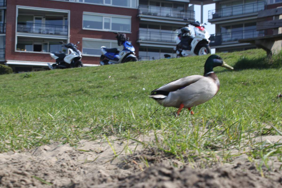Waren eben nochmal in Holland :)