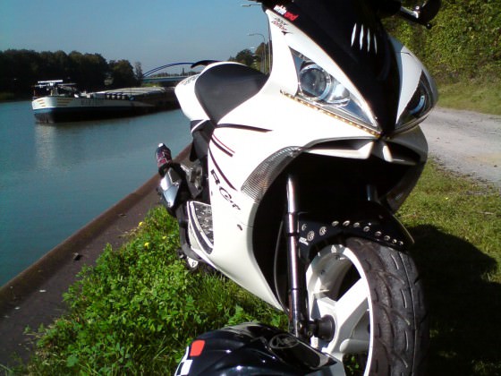 Der Scooter