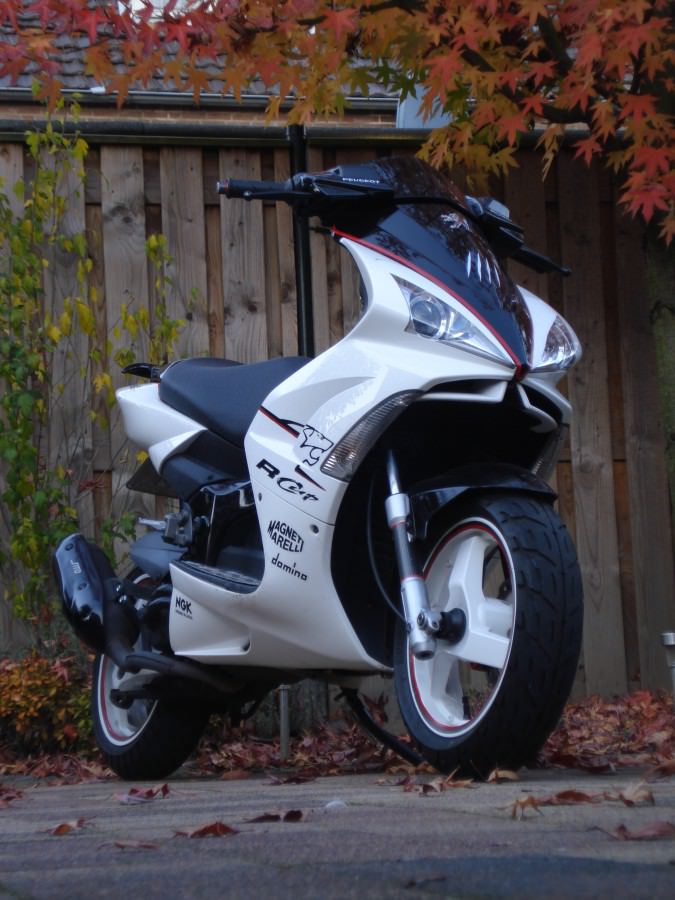 R-Cup aus Holland