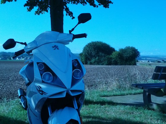 erster tag