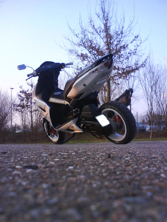Frühling kommt =)