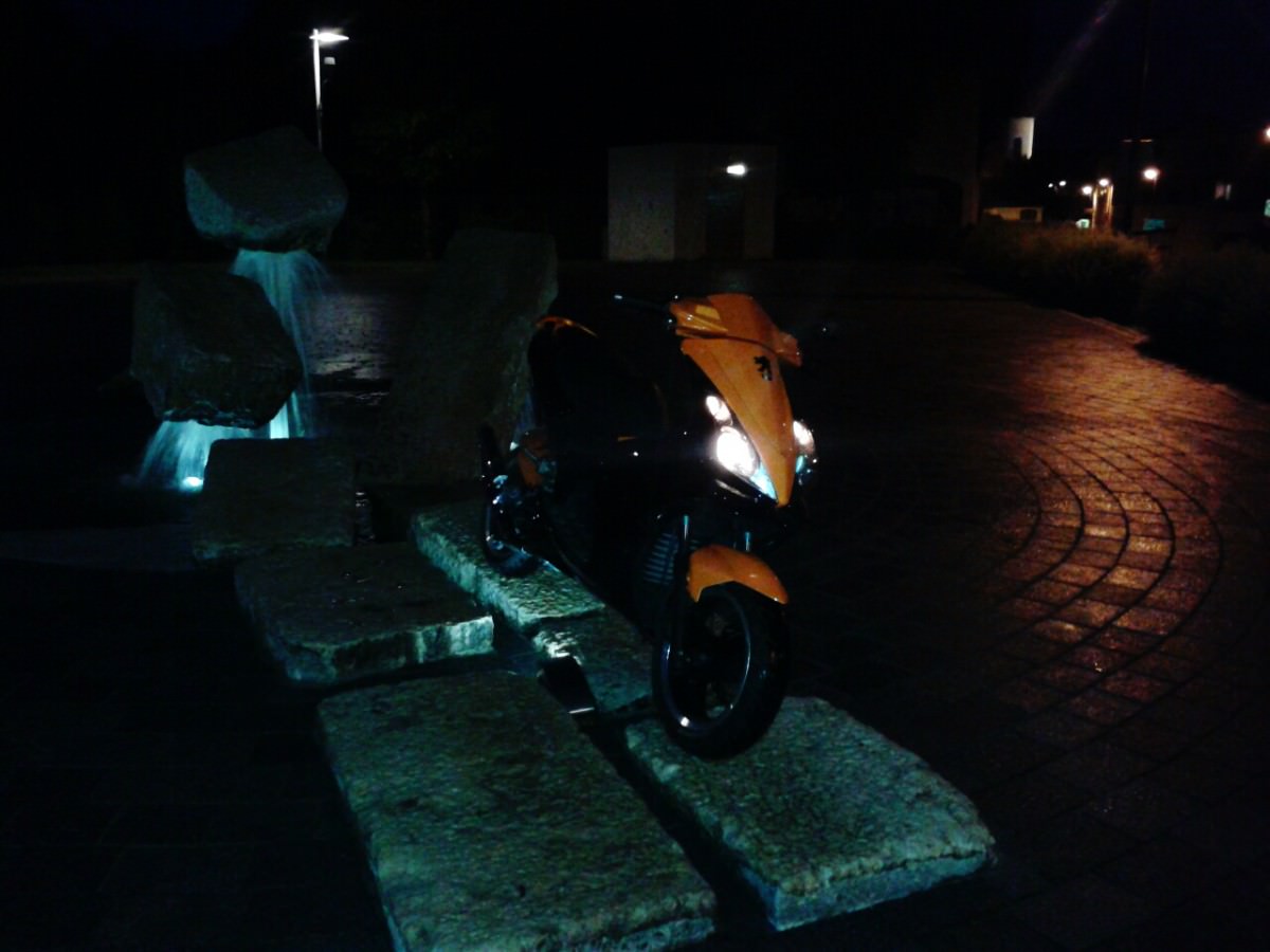 orangeblack jetts