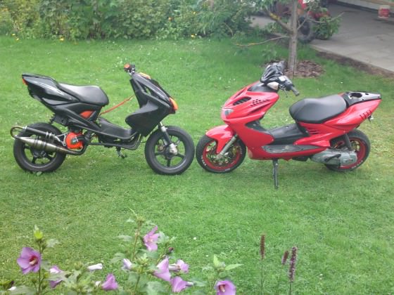 Rennen ? :p gegen 2 Stage 6 Racing :p ? ;)