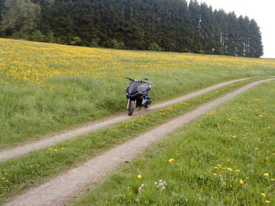 joar mal ein bisschen frische luft schnuppern XD