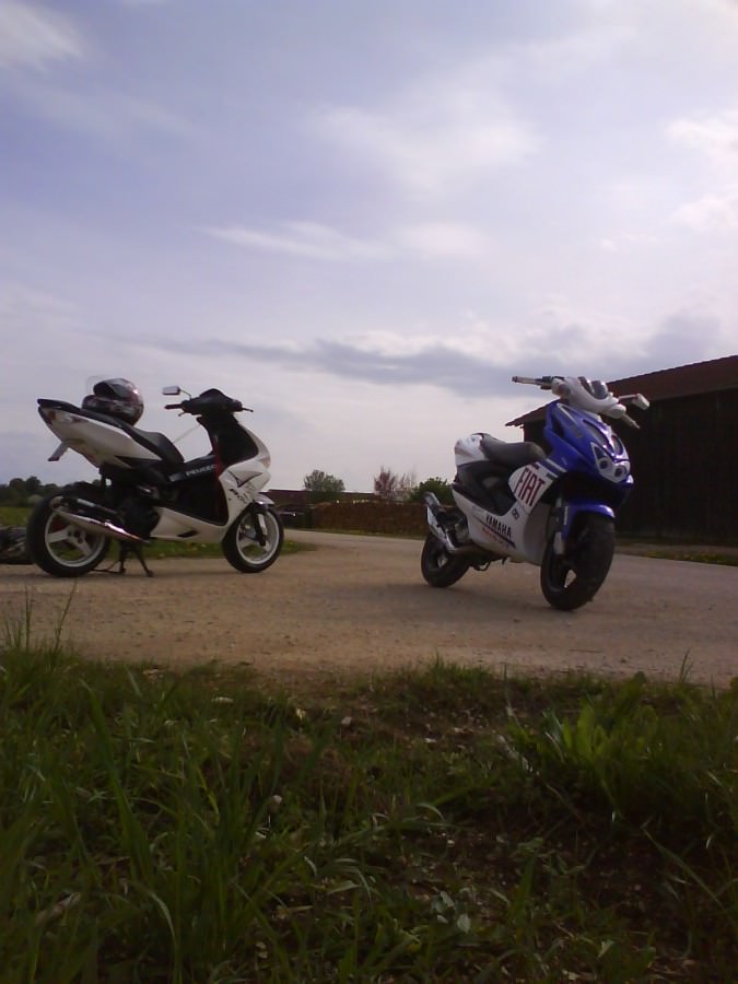 Rox/R-cup