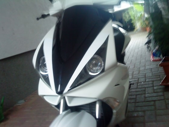 Schwarzes Front3eck