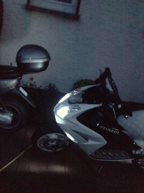 xenon xD