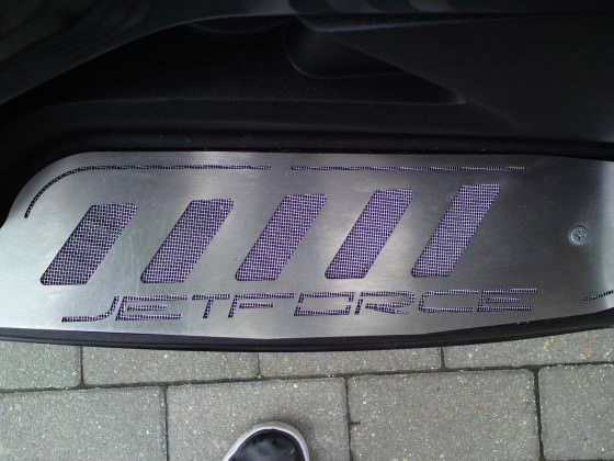 Lennes Trittbleche+Weiße Racinggitter