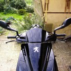 DSCI0010