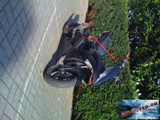 neue bilder