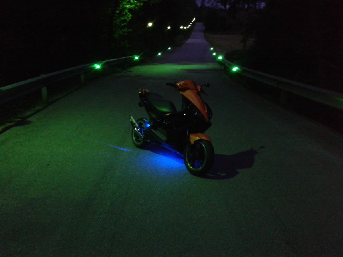 orangeblack jetts