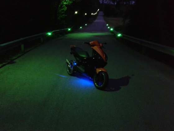 orangeblack jetts