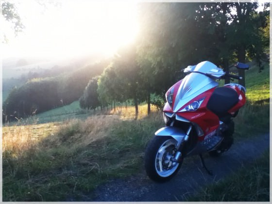 Sunshine :)
