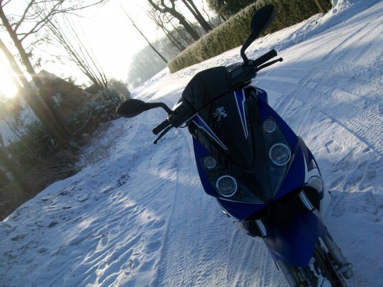 Dummer Winter...