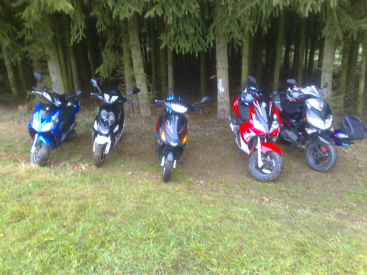 Im tiefsten Jungle^^