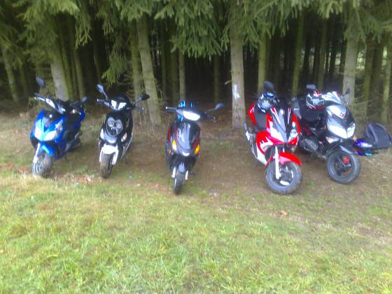 Im tiefsten Jungle^^