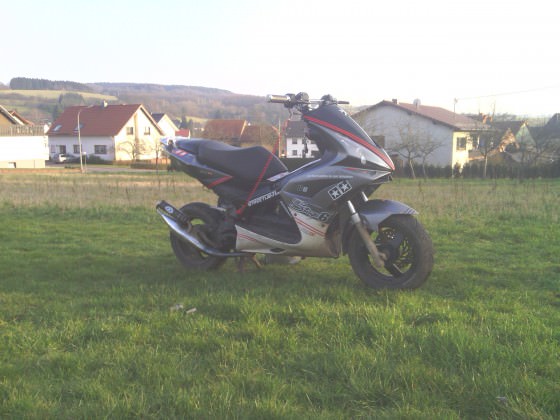 Meiner