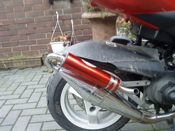 roter esd