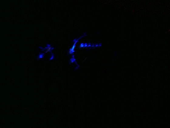 tacho