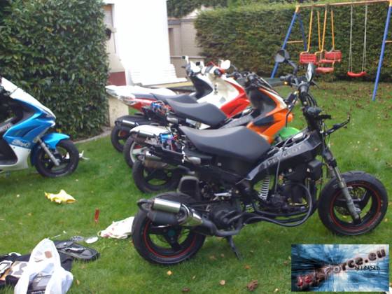 im garten von kayone ;)