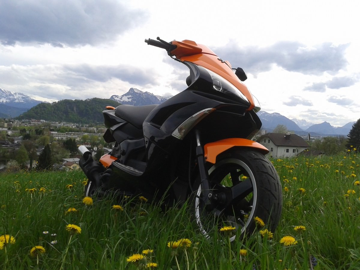 orangeblack jetts