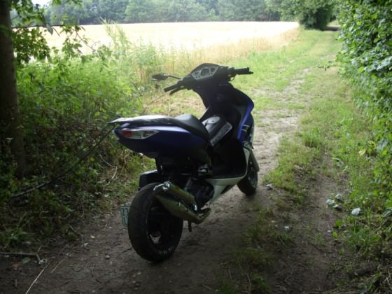 Mein Roller wie er zurzeit aussieht