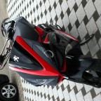 Bild 003