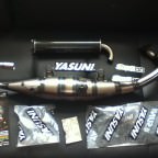 Yasuni R