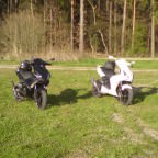 black or white