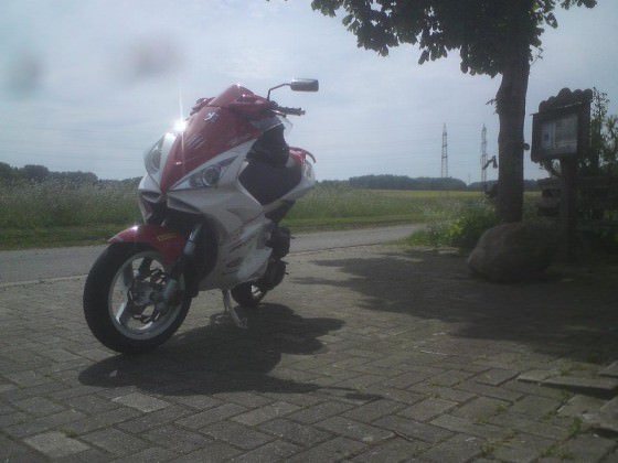 malle sport <3