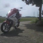 malle sport <3