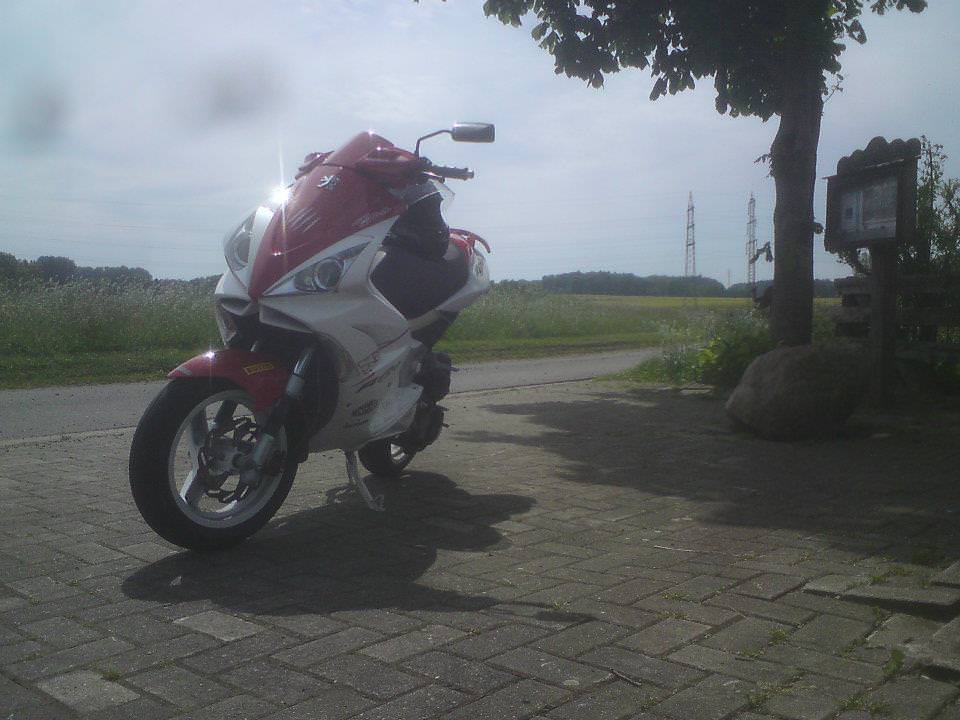 malle sport <3