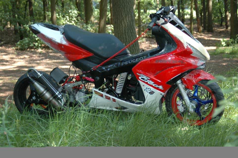 japan style faken?