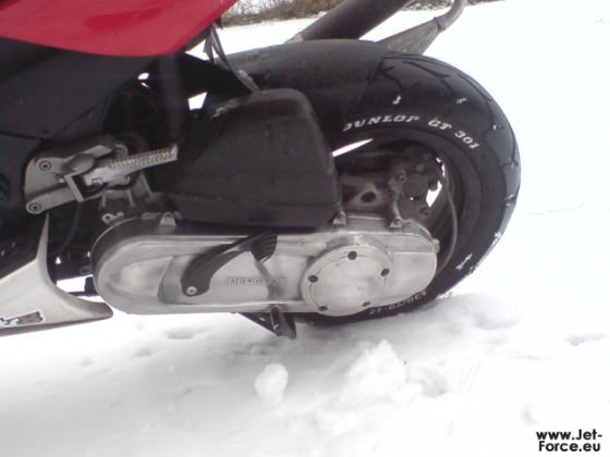 jaja hab ihn ma im schnee spielen lassen ;)
