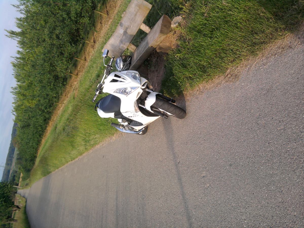 Mal n paar neue Bilder :)