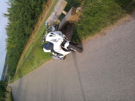 Mal n paar neue Bilder :)