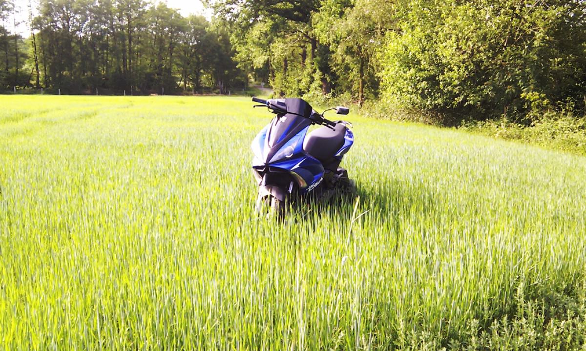 Ein Jet im Kornfeld ♥